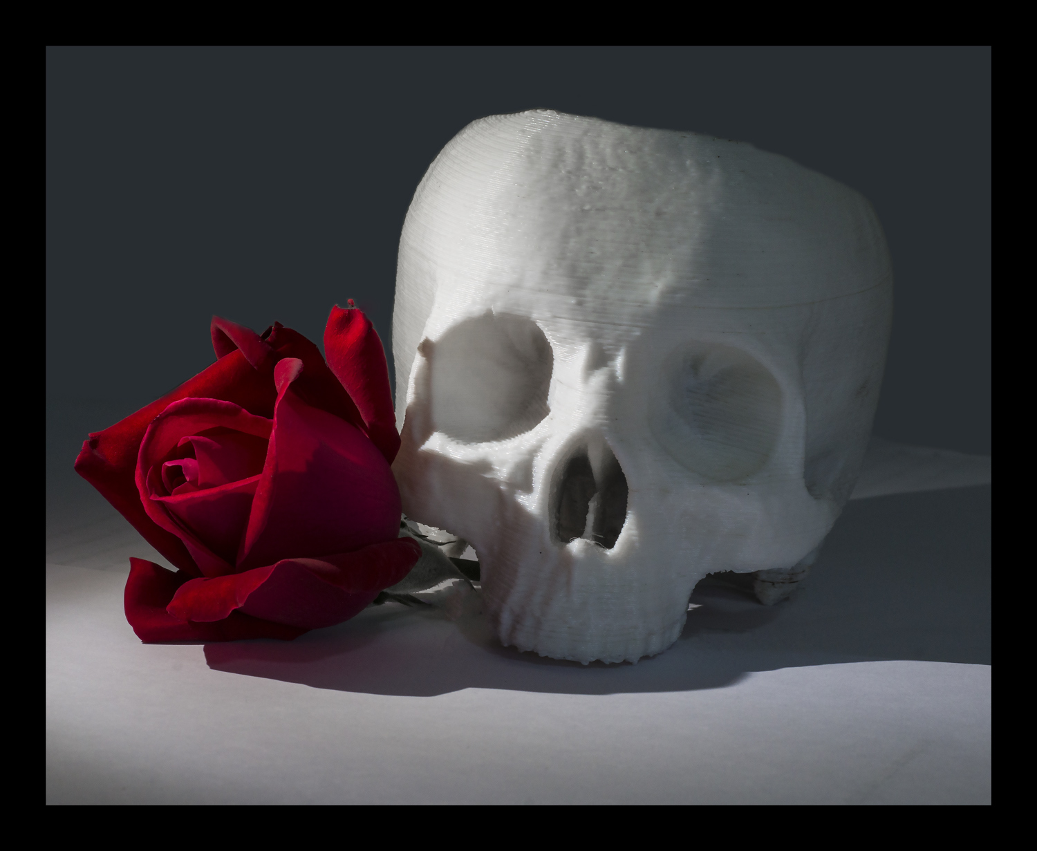 Ho perso la testa!!!