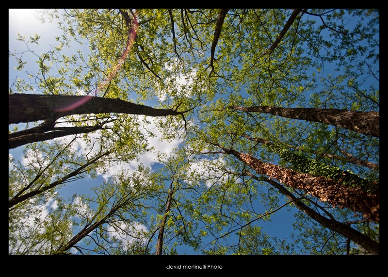 urlando contro il cielo!
