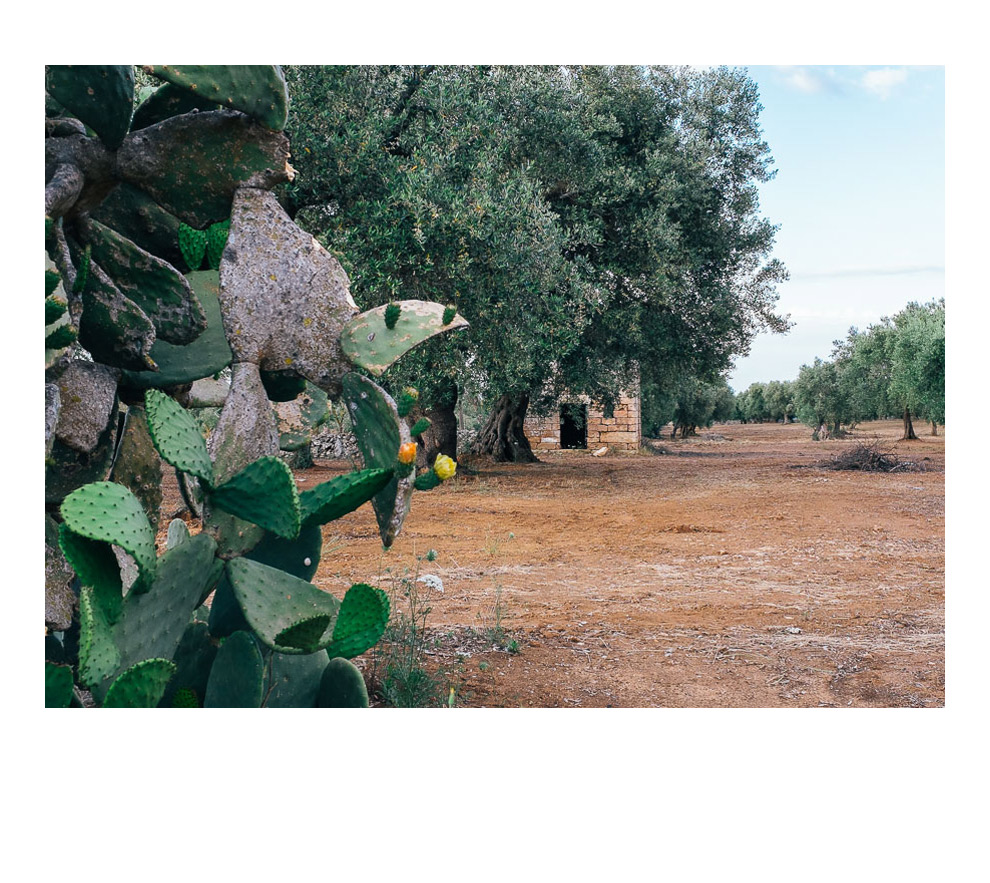 Nord Salento - 05/2015