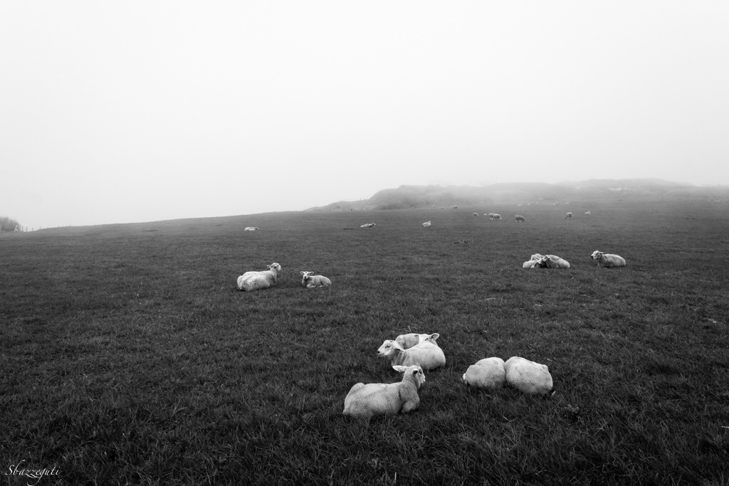 Il riposo dei guerrieri