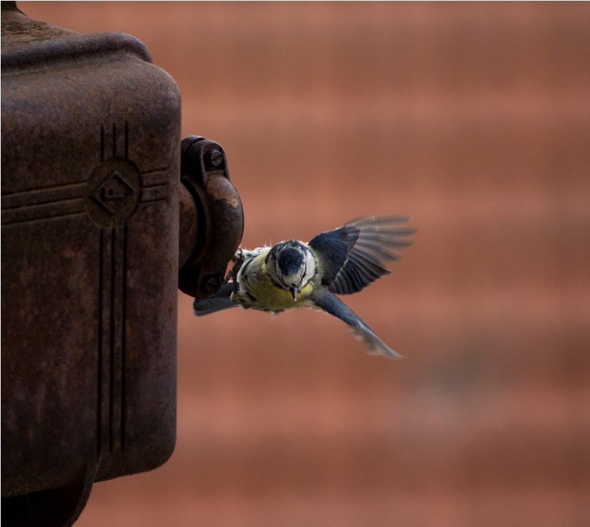 Una casa molto particolare