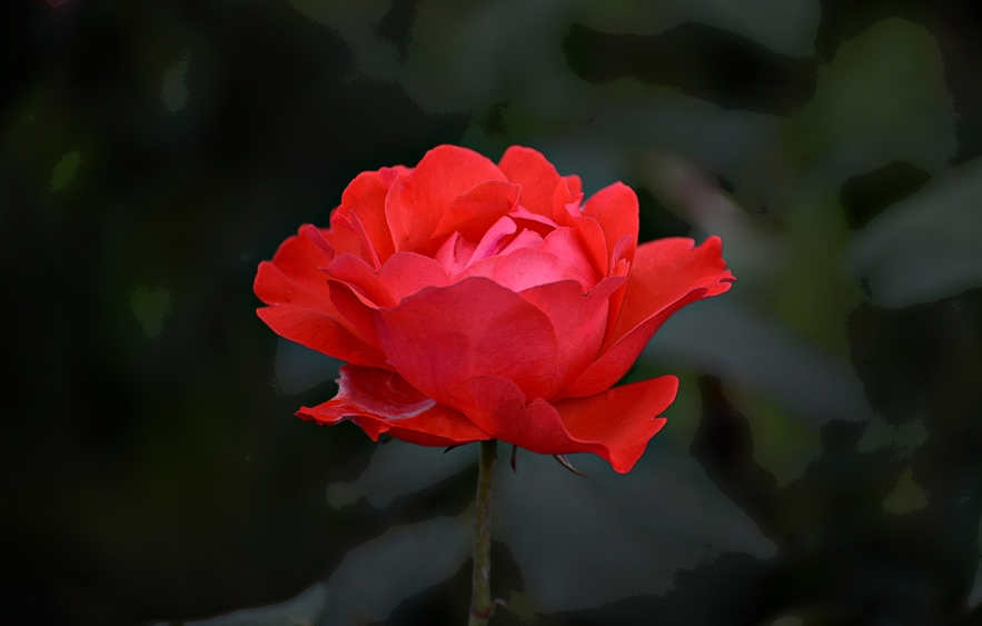 Il sole mancava ma ero cos� bella .........