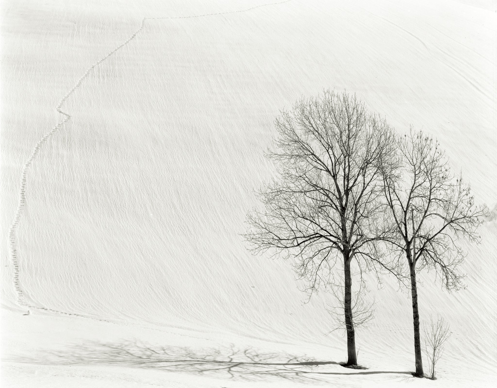 La famiglia sulla neve