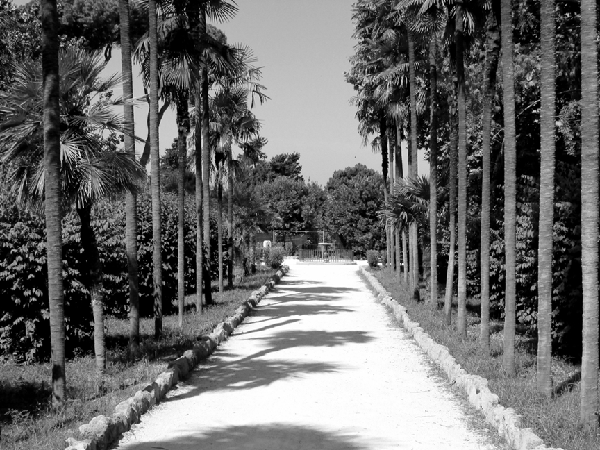 Villa Celimontana - Viale prospettico