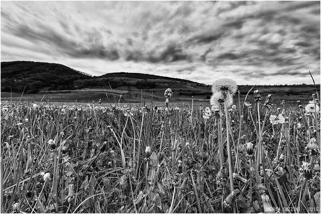 Collecroce di Nocera Umbra (PG)