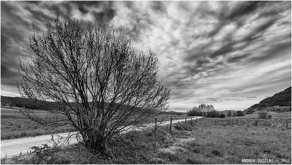 Collecroce di Nocera Umbra (PG) #2