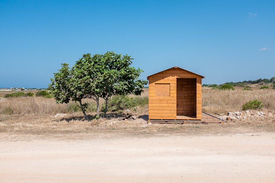 Pescoluse - 06/2015 - ore 9:30