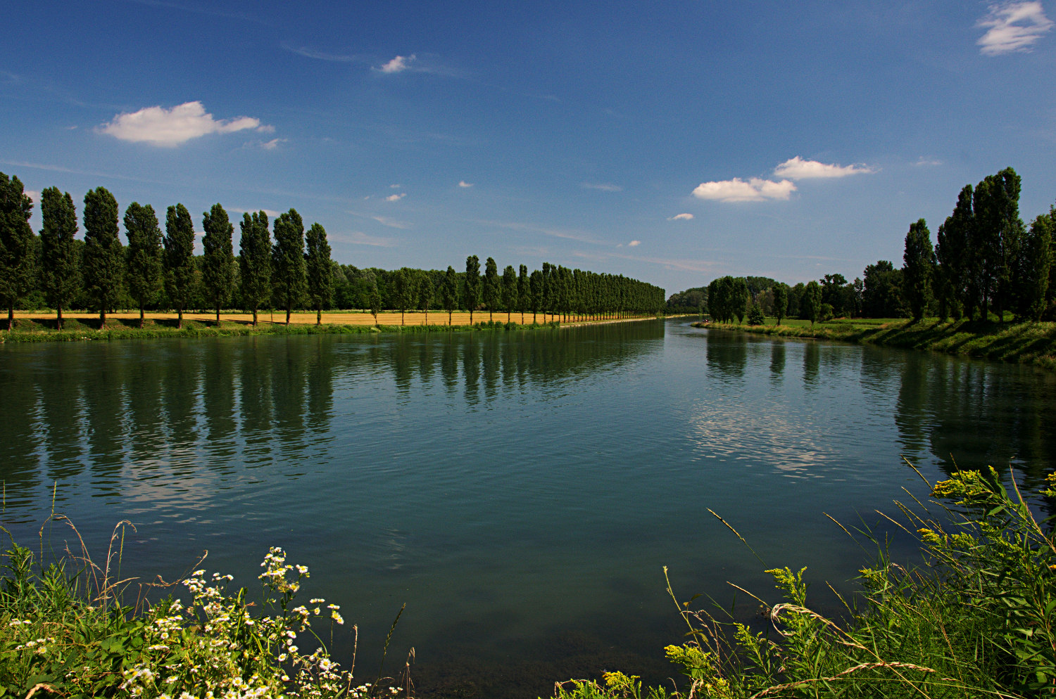 Canale Muzza tra Paullo e Cervignano