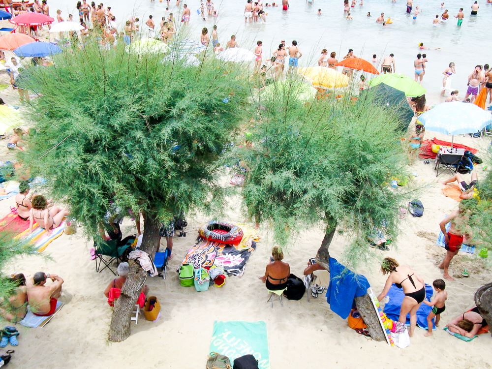 Santa Maria al bagno, Nard� (LE) - 2015