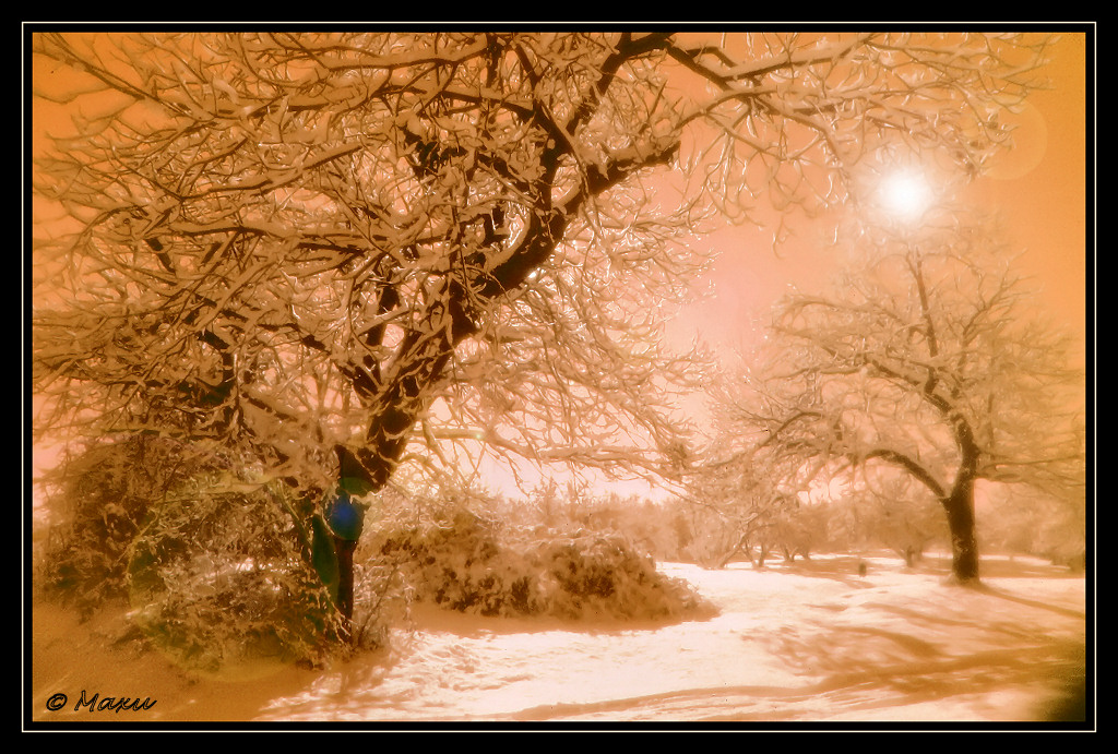 Morbida e calda neve