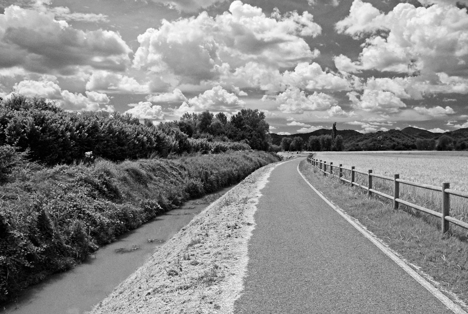 Lungo la Ciclovia Euganea