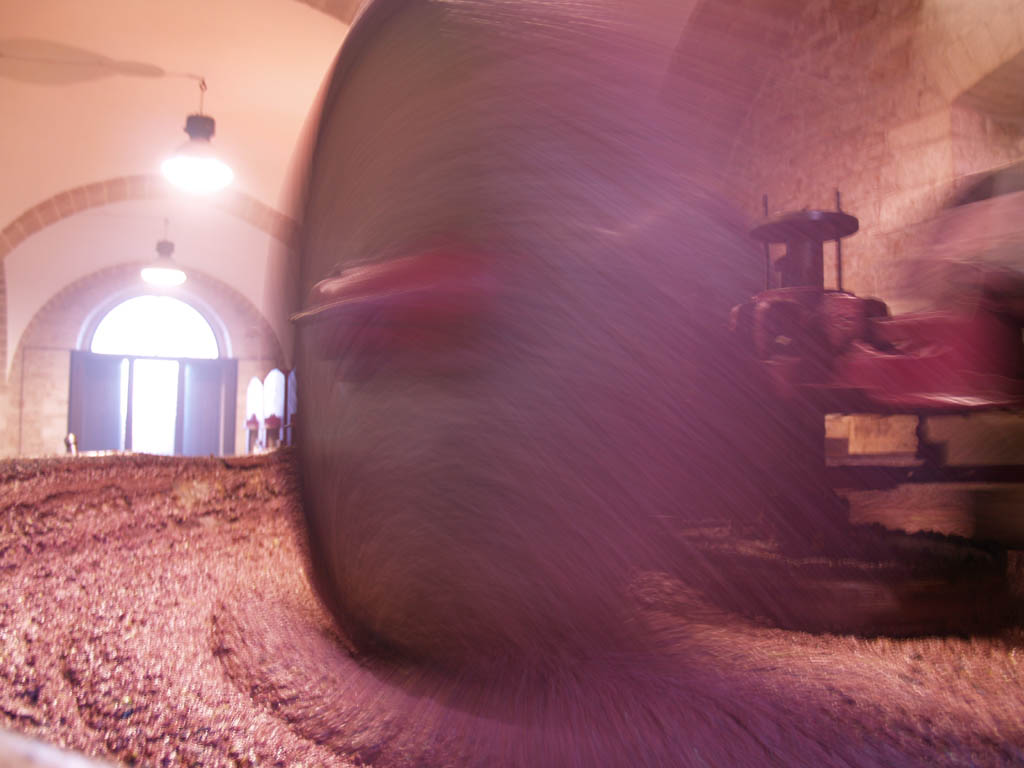 macine in un frantoio