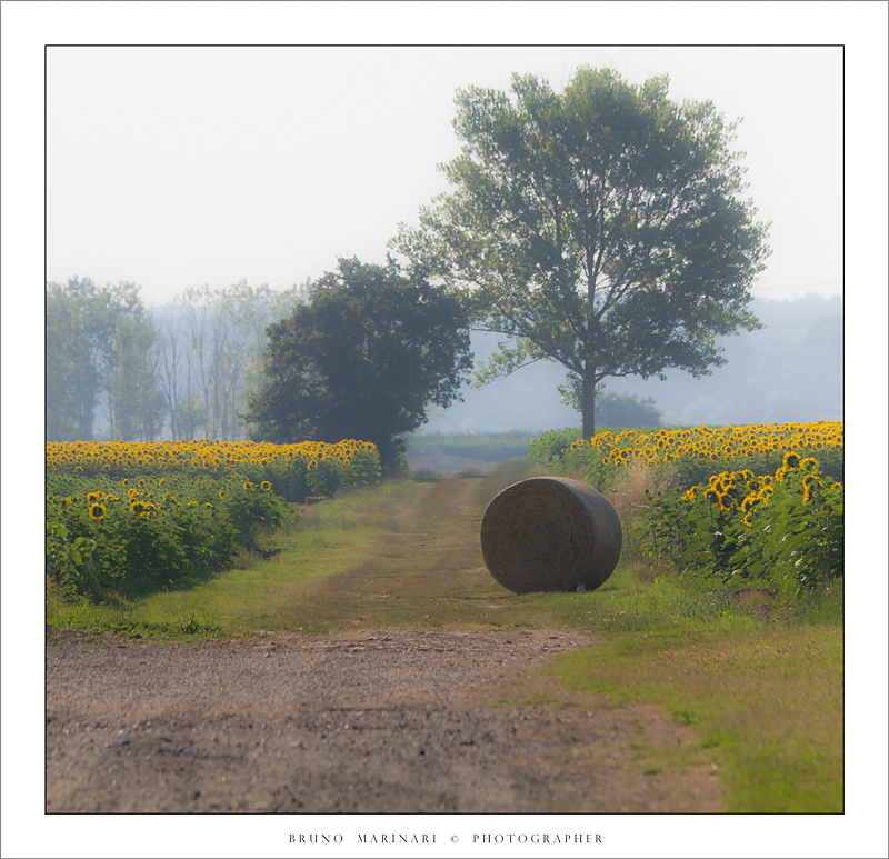 Passeggiando per la campagna