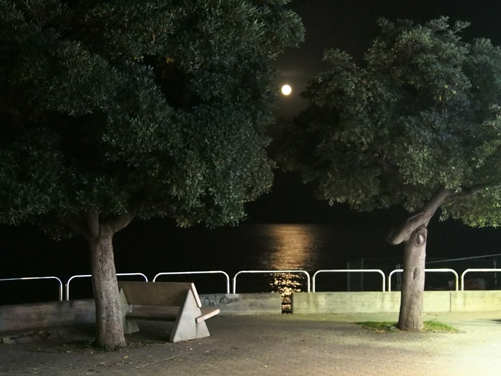 Luna sul mare a Pietra Ligure