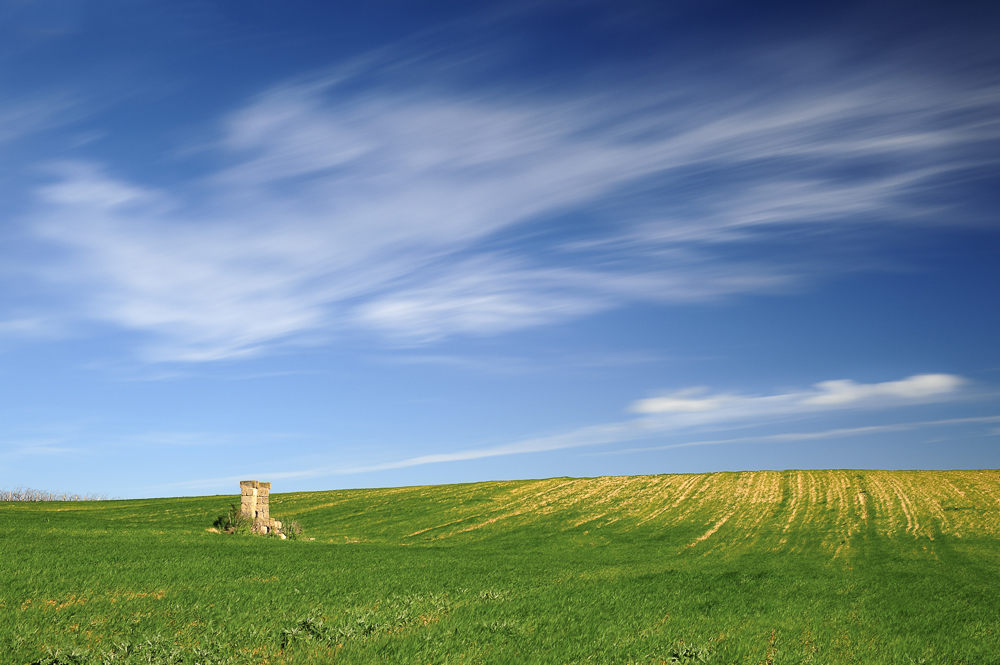 Strada per Cellino San Marco (BR) - 2013