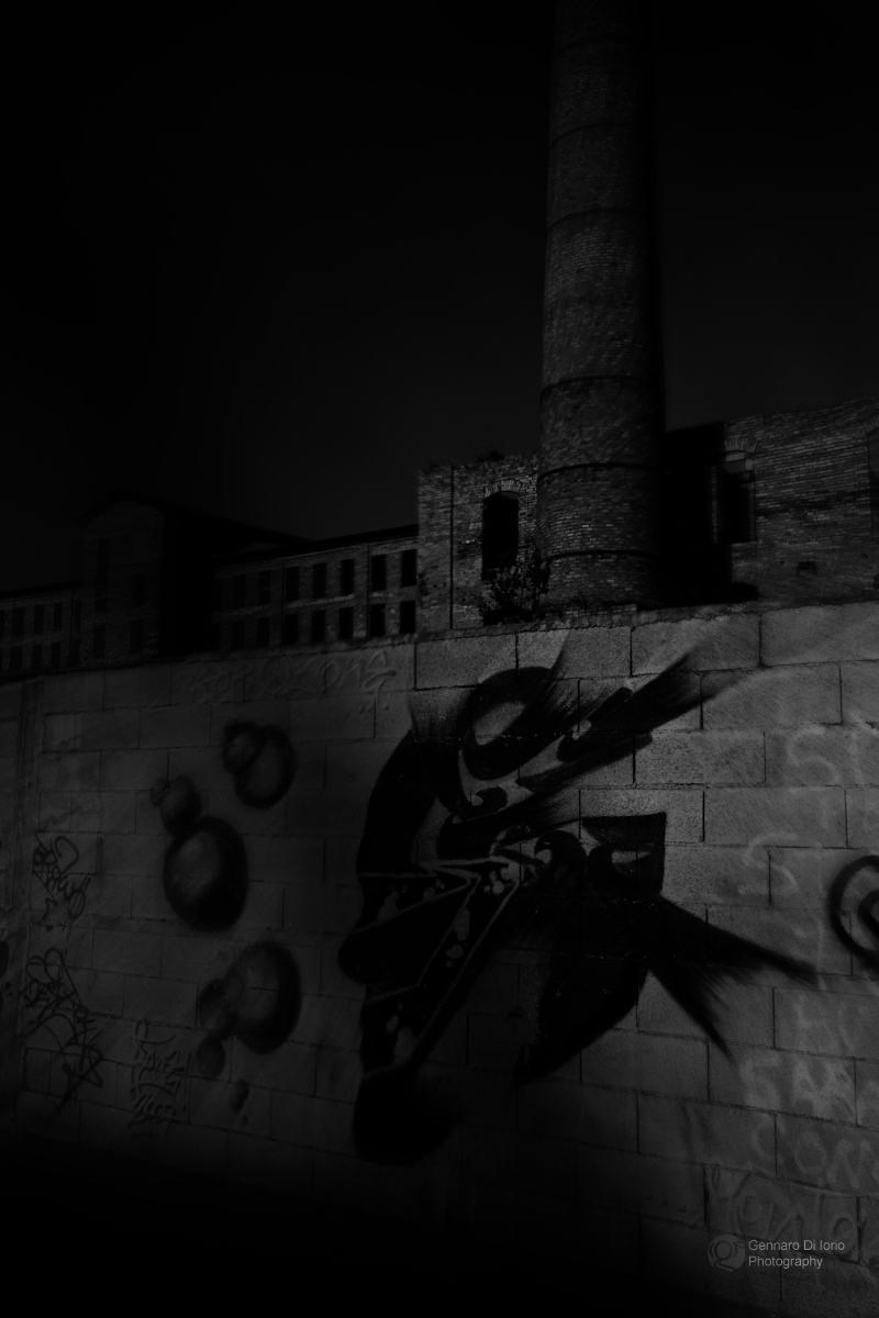 Segni di strada 2015