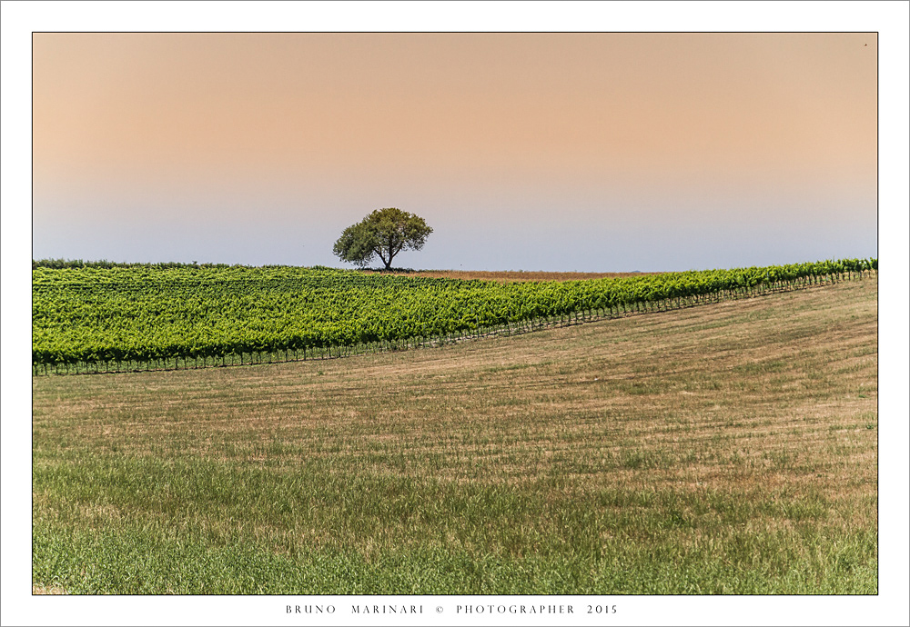 Campagna al calar della sera....
