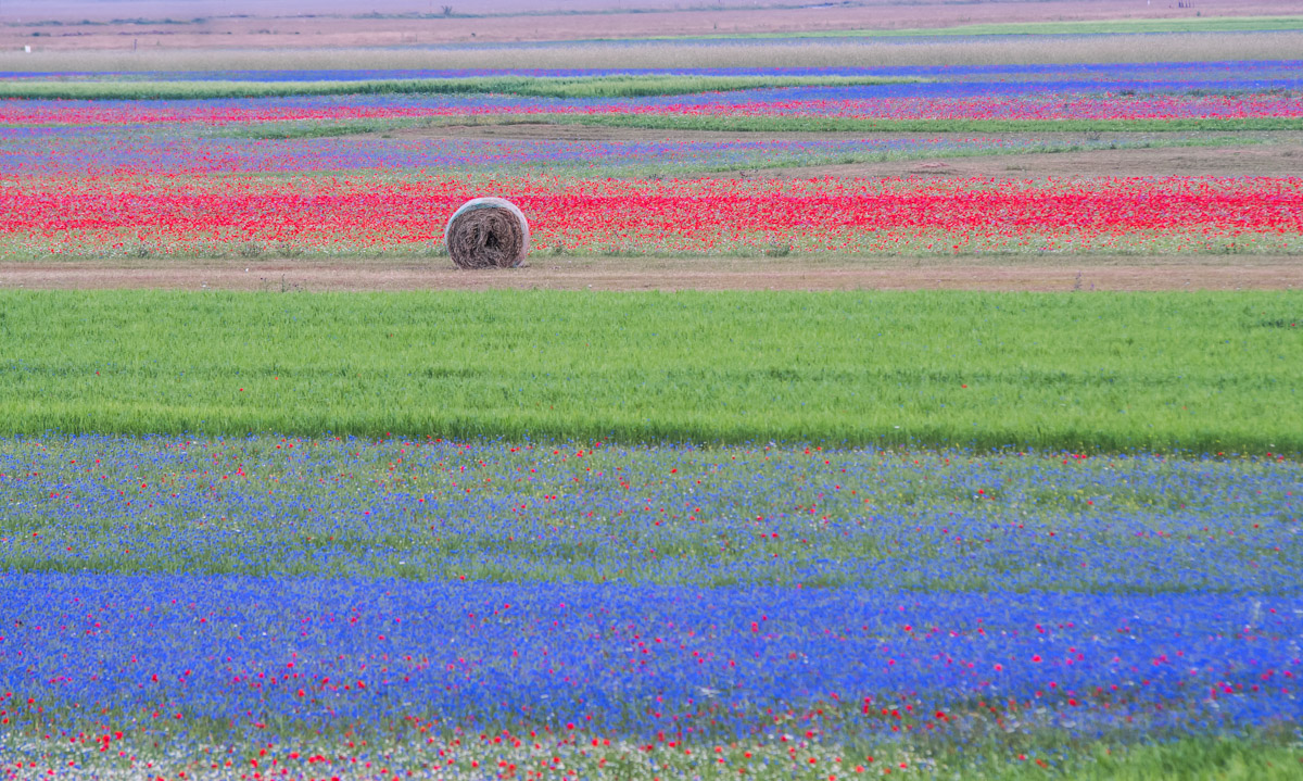 castelluccio quasi nell'ora blu
