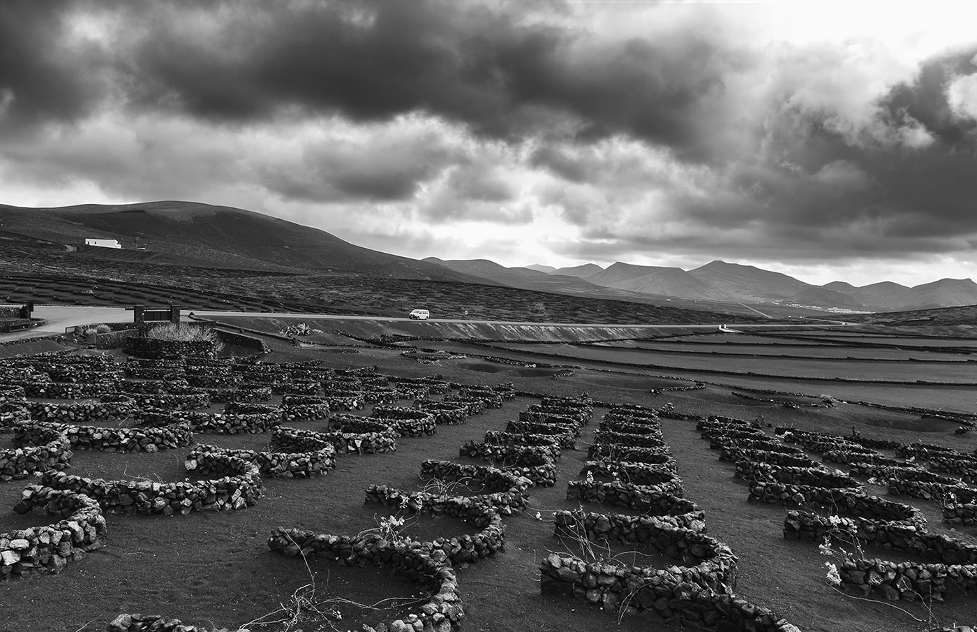 LANZAROTE - Strada del vino