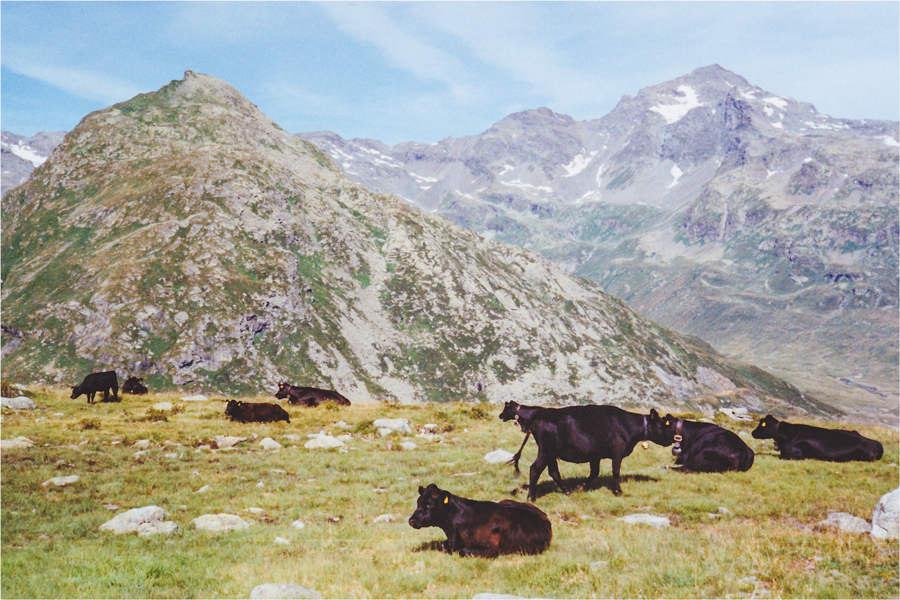 Rifugio Bertacchi - Spluga SO