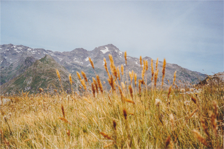 Rifugio Bertacchi - Spluga SO
