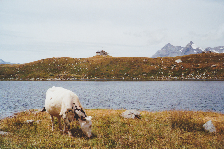 Rifugio Bertacchi - Spluga SO