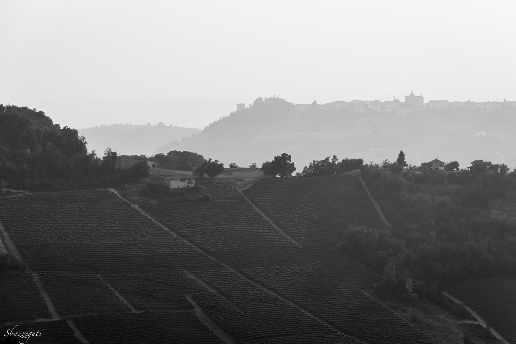 Barolo B&W
