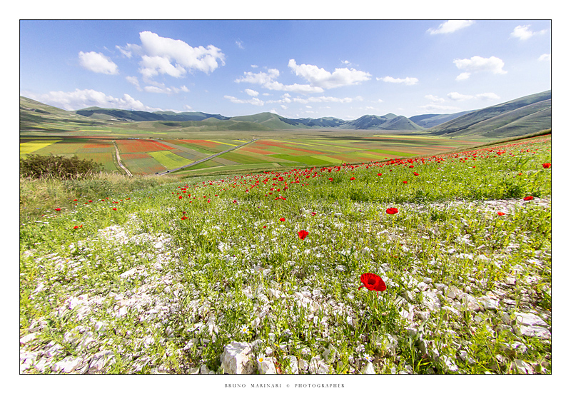 the dream of Castelluccio