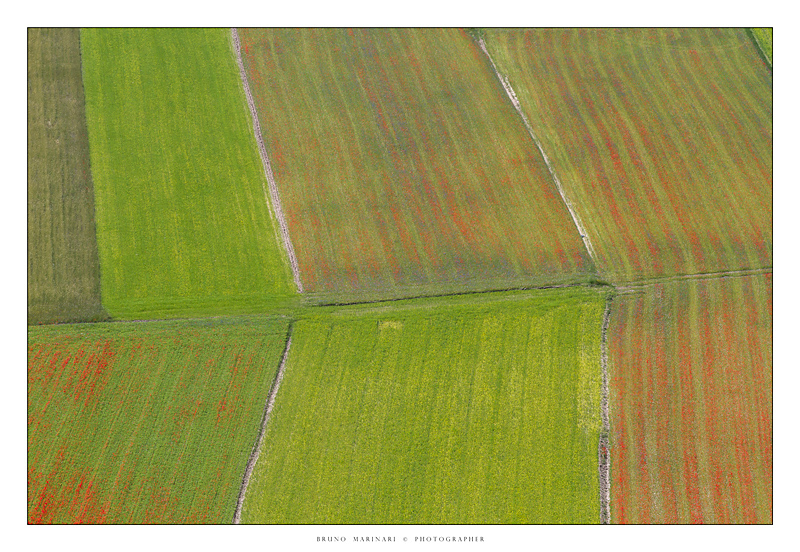 Un tappeto di colori....