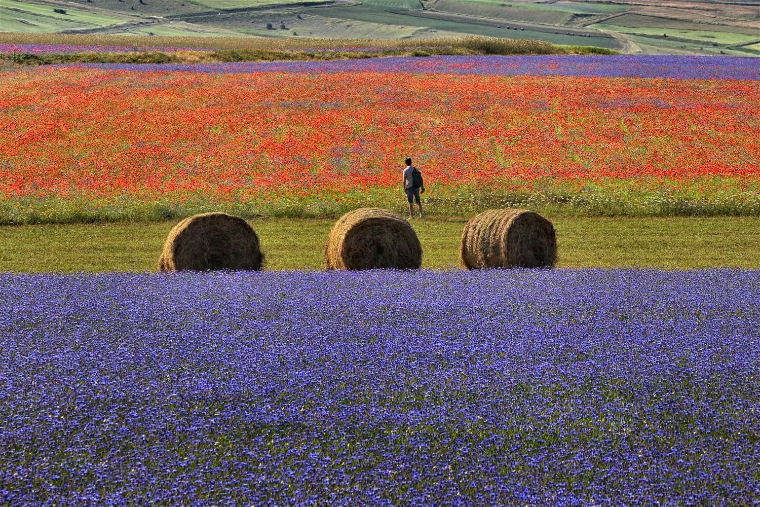 PENSANDO.... LA FOTOGRAFIA