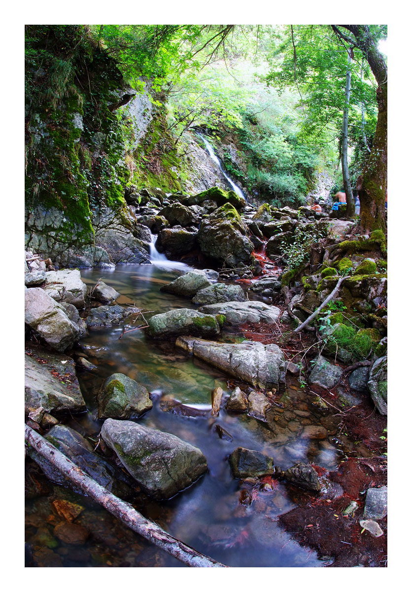 ...non solo natura...