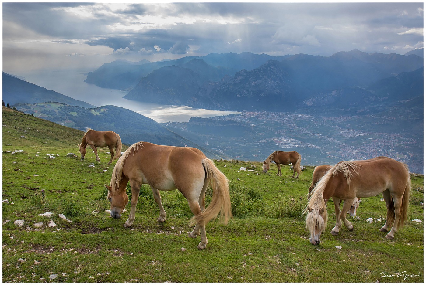 Omaggio a Giovanni Segantini.