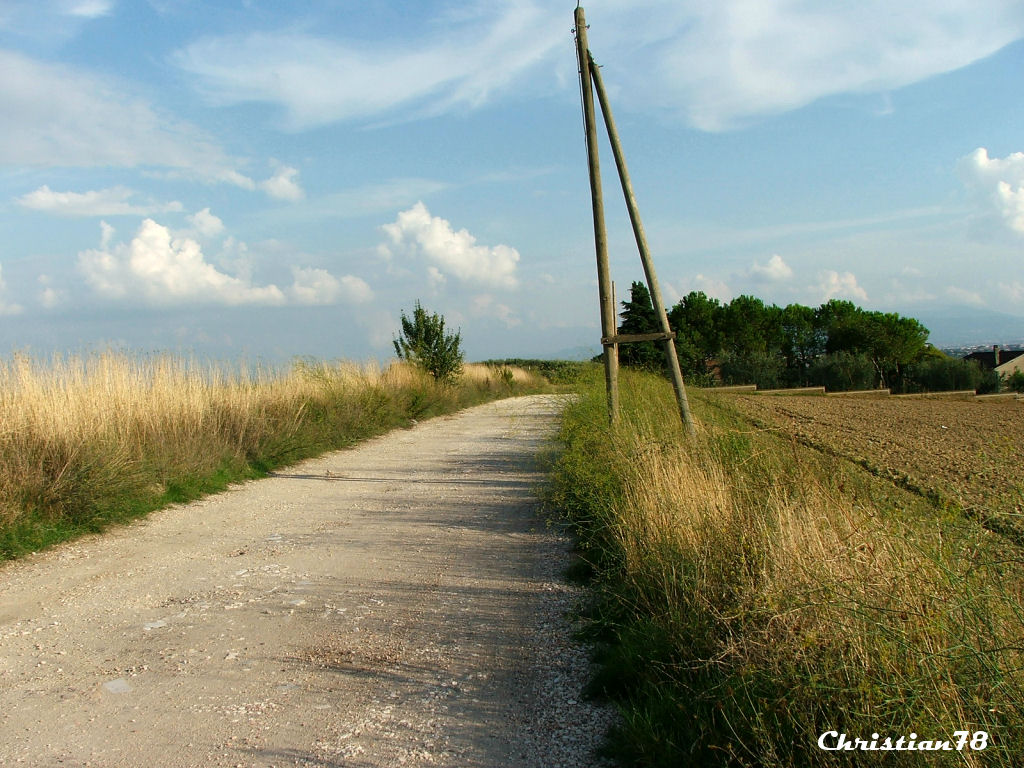 Strada di campagna