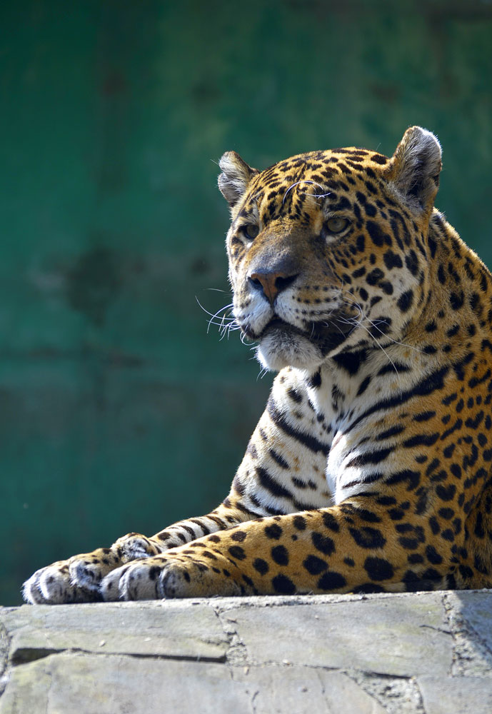 Giardino Zoologico di Pistoia