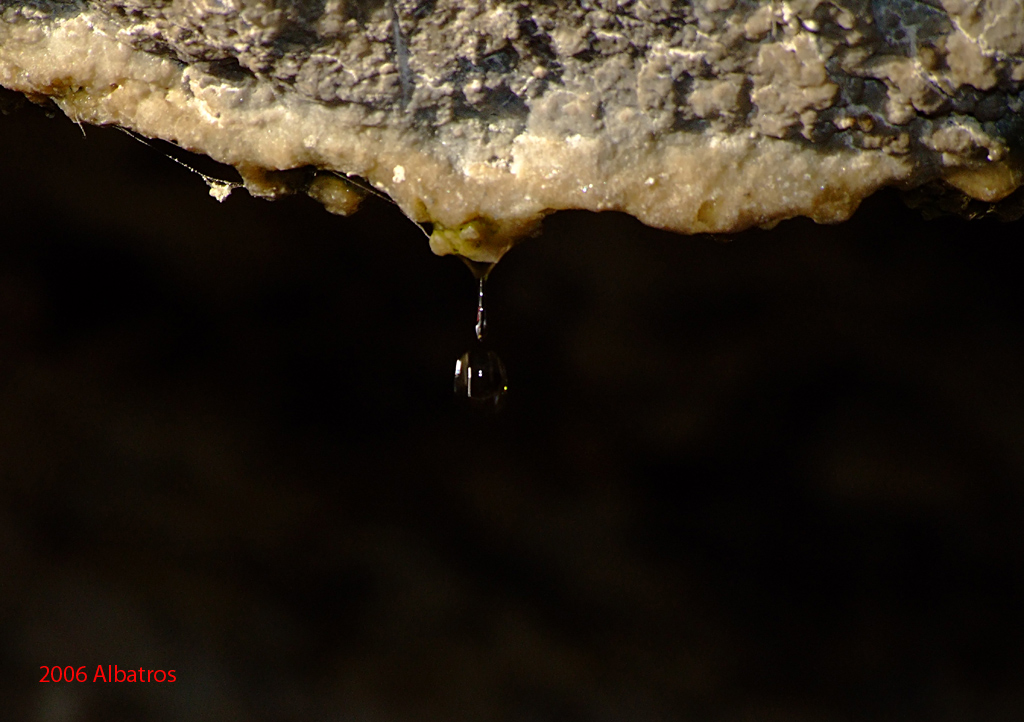 Il distacco della goccia