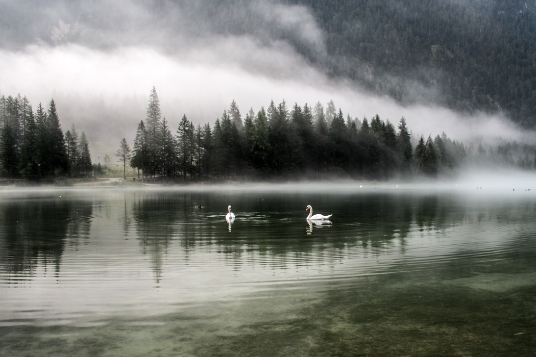 Nebbia al lago