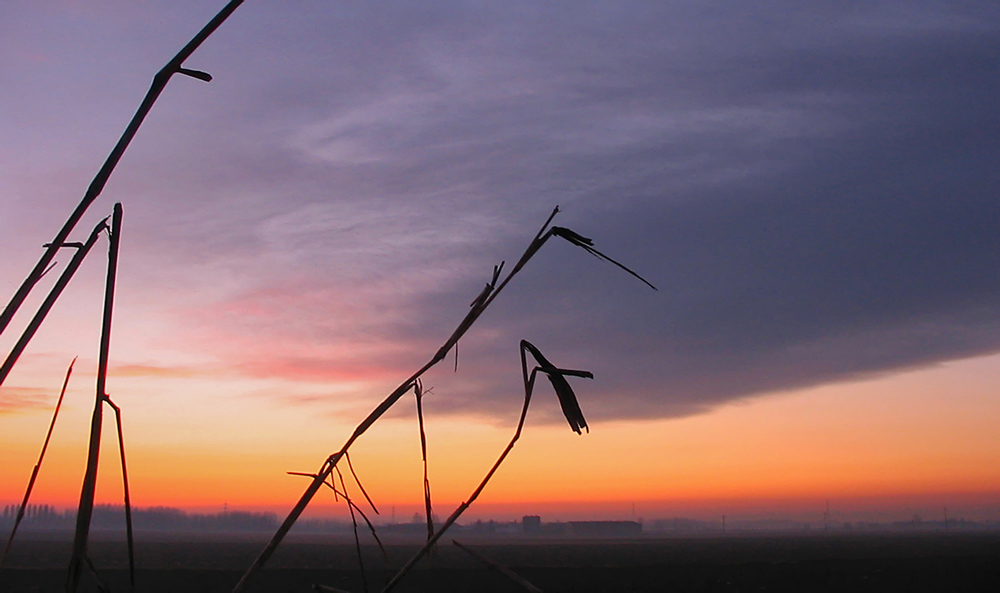 Tramonto dai colori vivaci