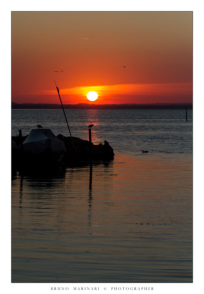 Ultimi voli al tramonto