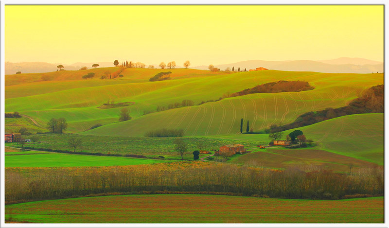 Colline di Siena