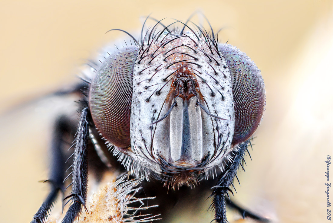"INCONTRO RAVVICINATO"
