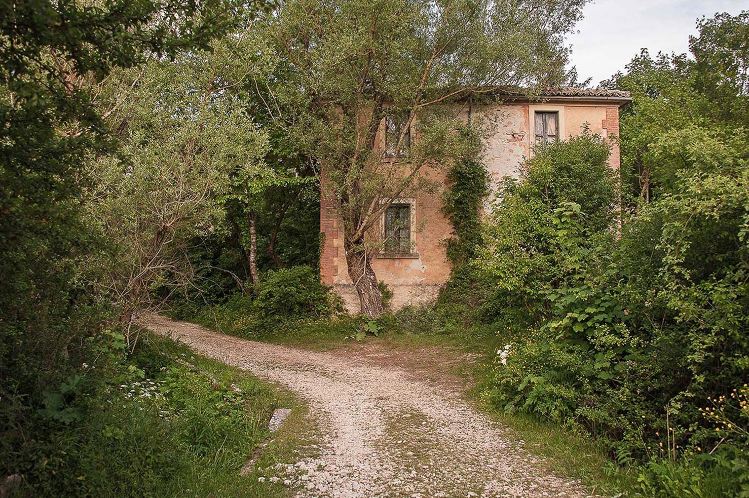 una casa nel bosco