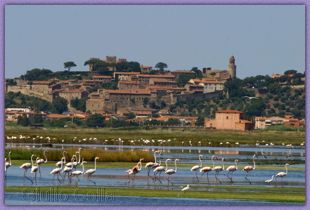 Castiglione della Pescaia (GR)