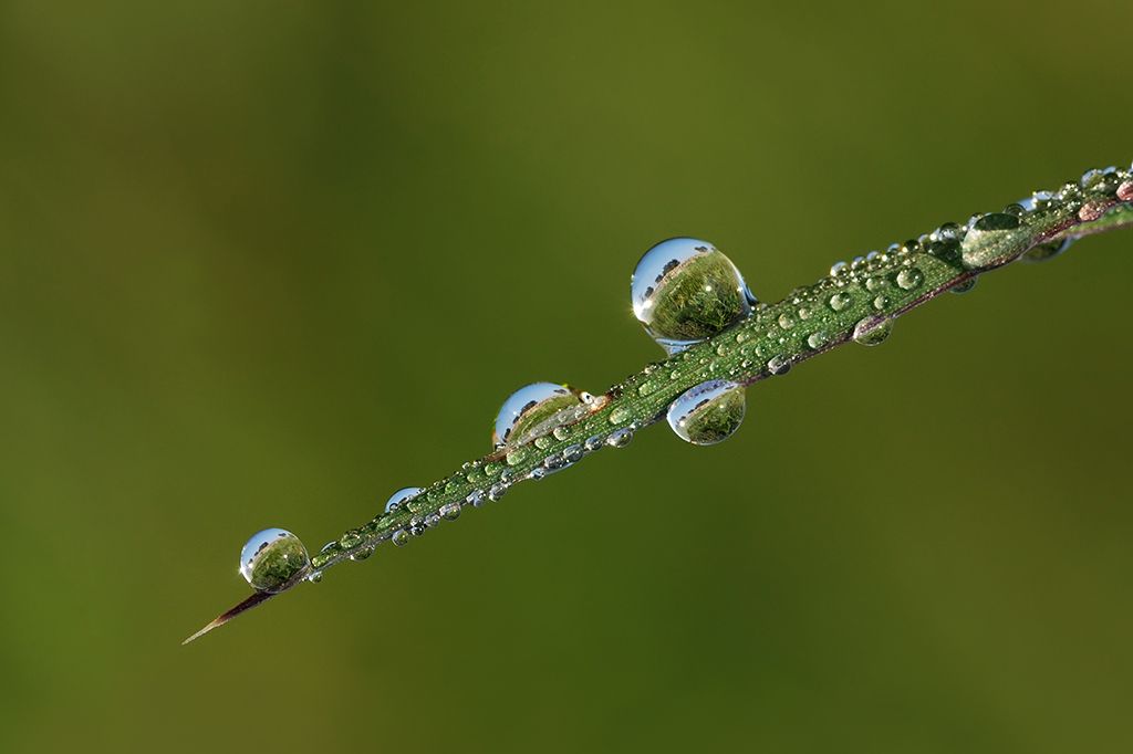 Riflessi di micropaesaggi di campagna