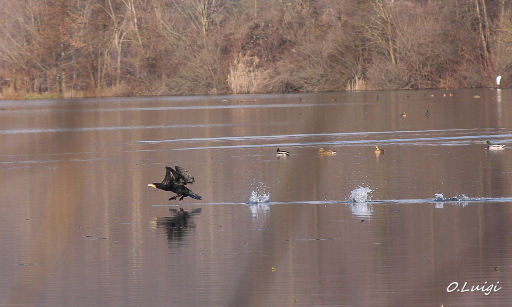 Provo a prendere il volo