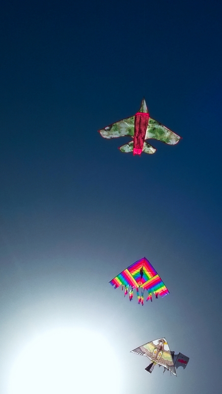 Aquiloni in controluce