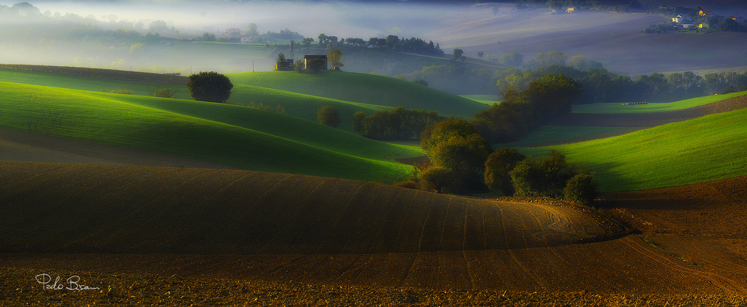 On the Waves (horizontal)