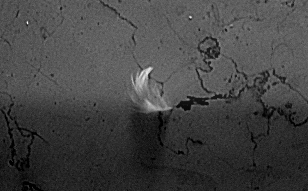 leggerezza sostenibile