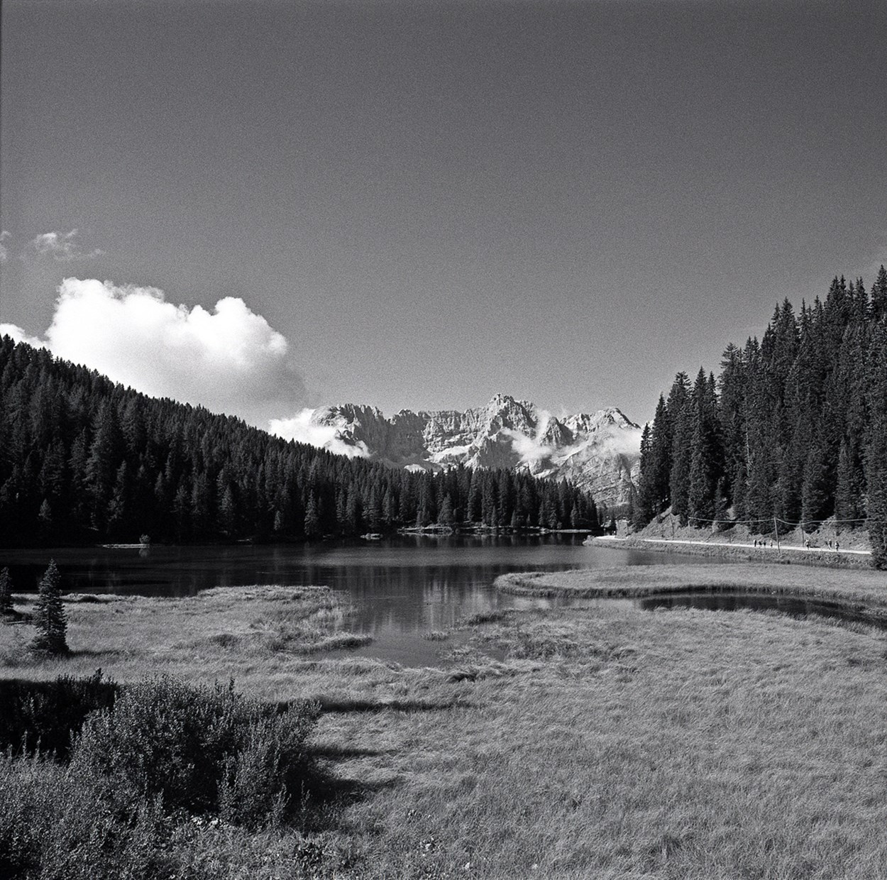 Vittorio Scassemblat ;/)