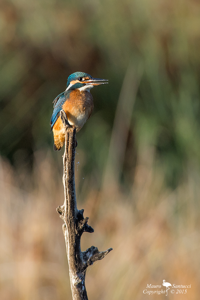 La Martina di prima mattina