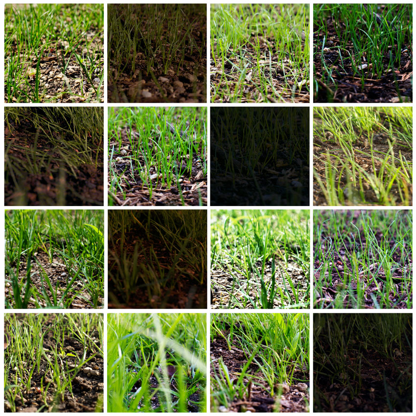 Stessa scena momenti diversi (5)